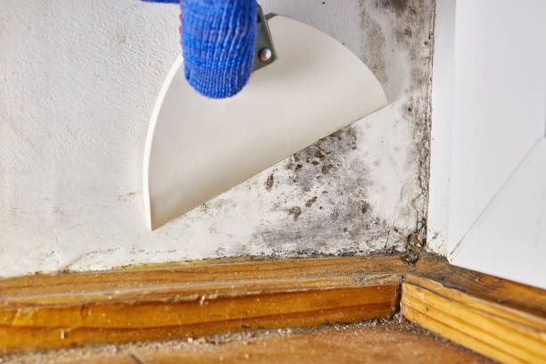 Best Residential Mold Inspection & Testing  in Muskogee, OK