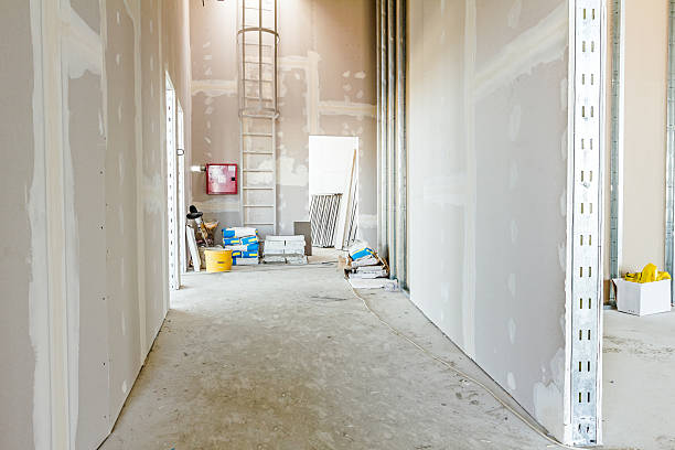 Best Basement Mold Removal  in Muskogee, OK